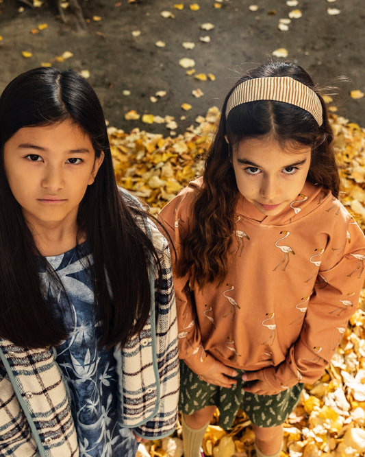 FLAMINGO - Soft Hoodie